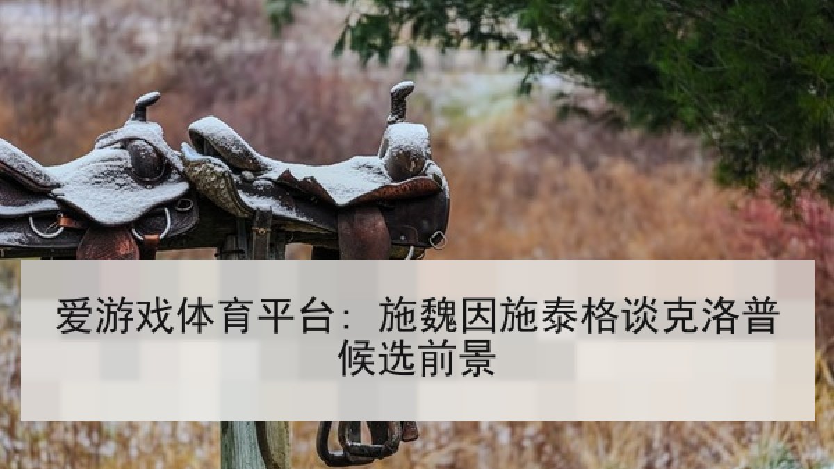 爱游戏体育平台: 施魏因施泰格谈克洛普候选前景