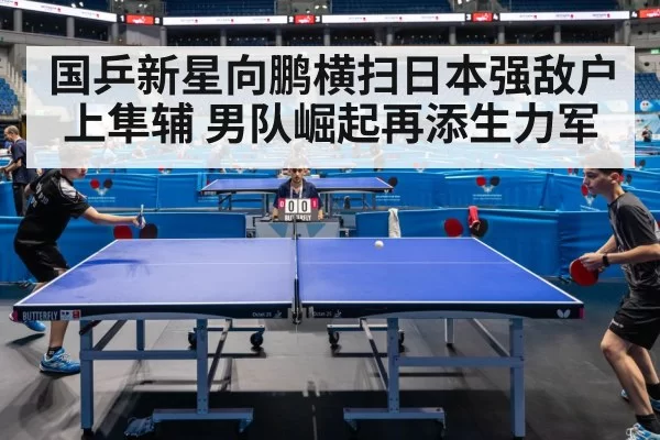 国乒新星向鹏横扫日本强敌户上隼辅 男队崛起再添生力军